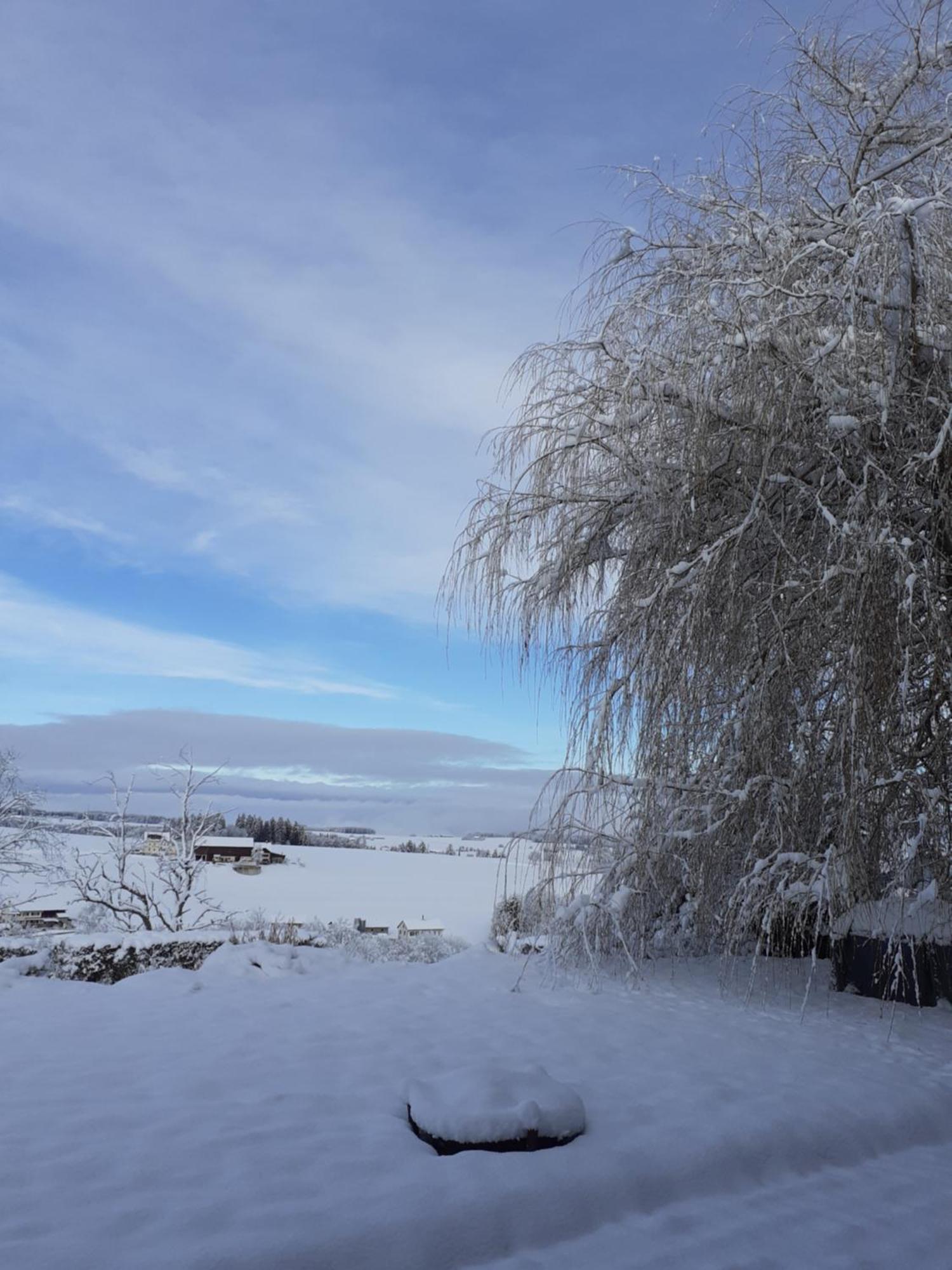 Bed and Breakfast Les Abeilles Romont Esterno foto