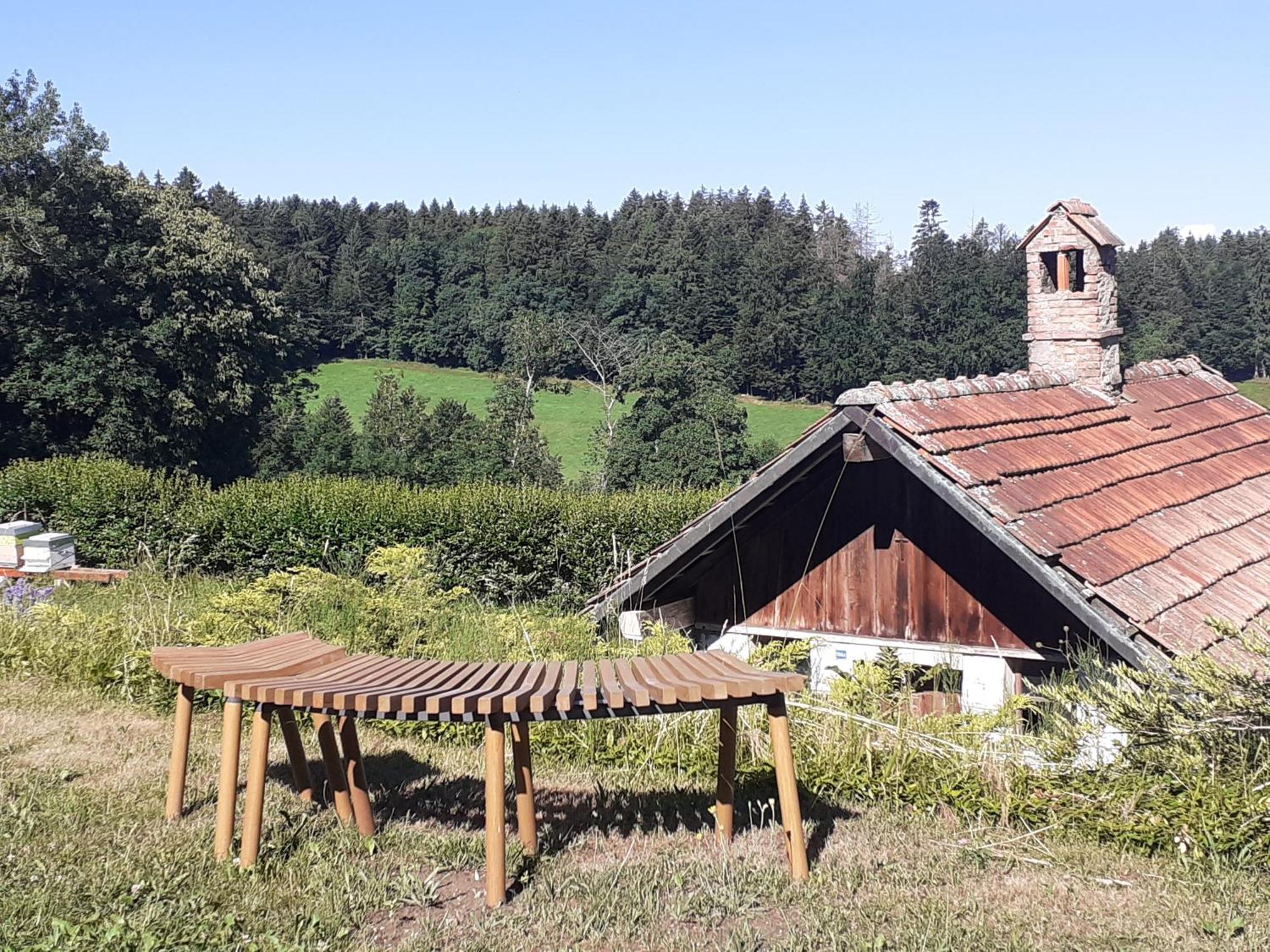 Bed and Breakfast Les Abeilles Romont Esterno foto